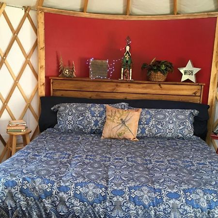 Mountain Springs Cabins Candler المظهر الخارجي الصورة