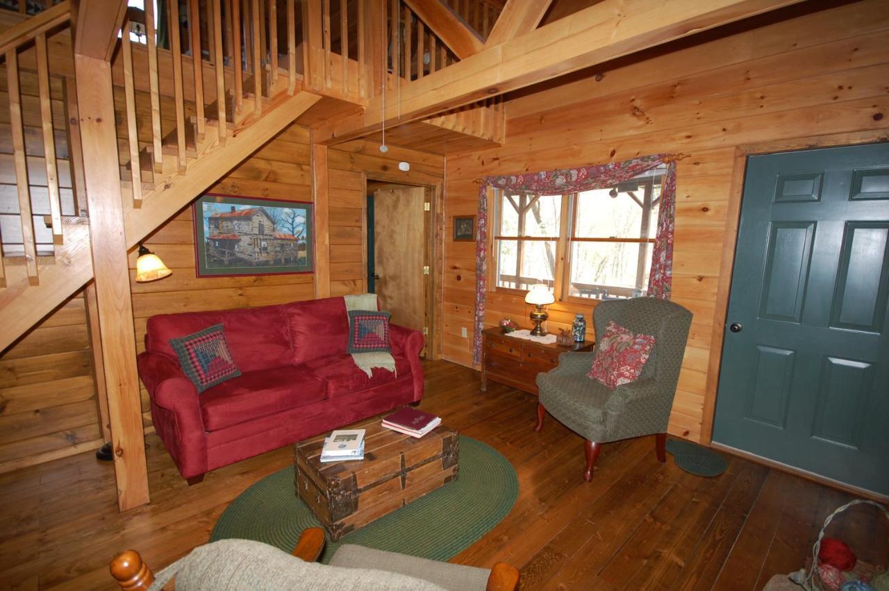 Mountain Springs Cabins Candler المظهر الخارجي الصورة