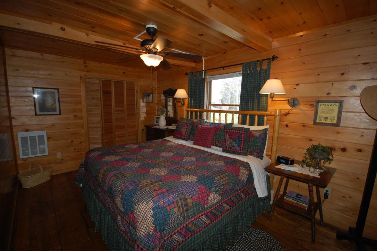Mountain Springs Cabins Candler المظهر الخارجي الصورة