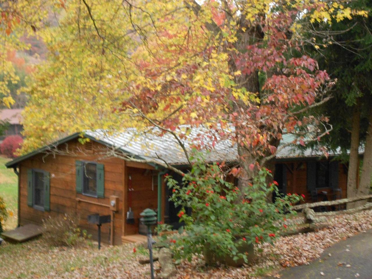 Mountain Springs Cabins Candler المظهر الخارجي الصورة