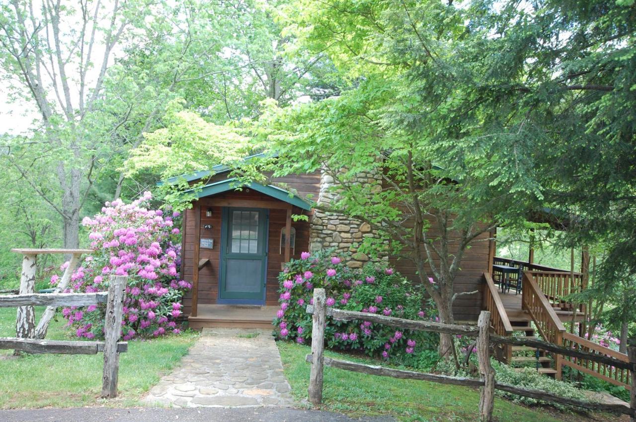Mountain Springs Cabins Candler المظهر الخارجي الصورة