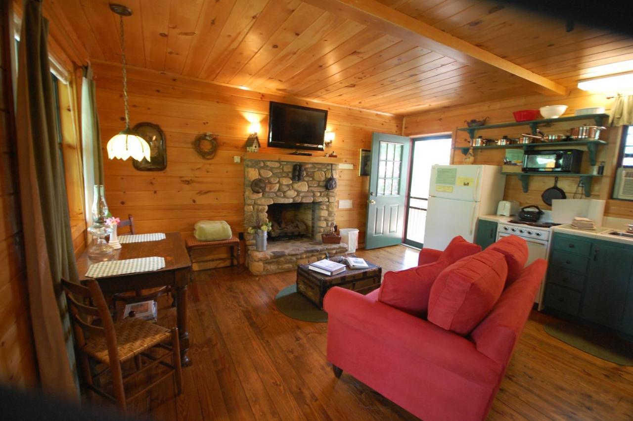 Mountain Springs Cabins Candler المظهر الخارجي الصورة