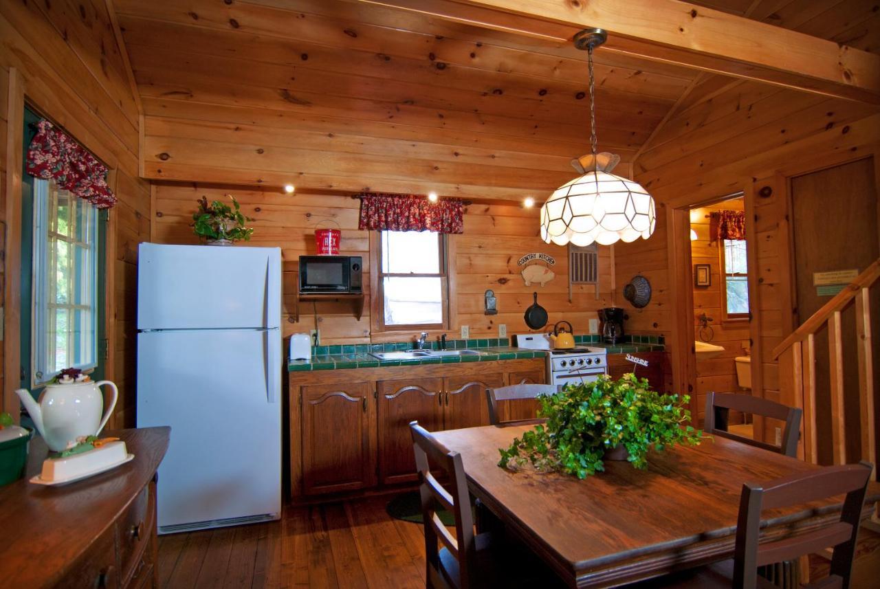 Mountain Springs Cabins Candler المظهر الخارجي الصورة