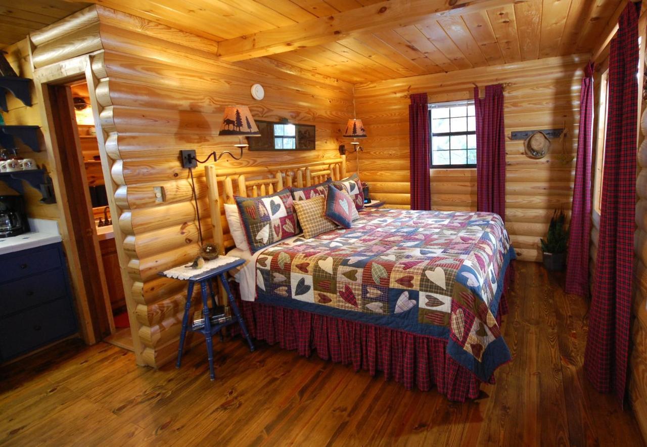 Mountain Springs Cabins Candler المظهر الخارجي الصورة