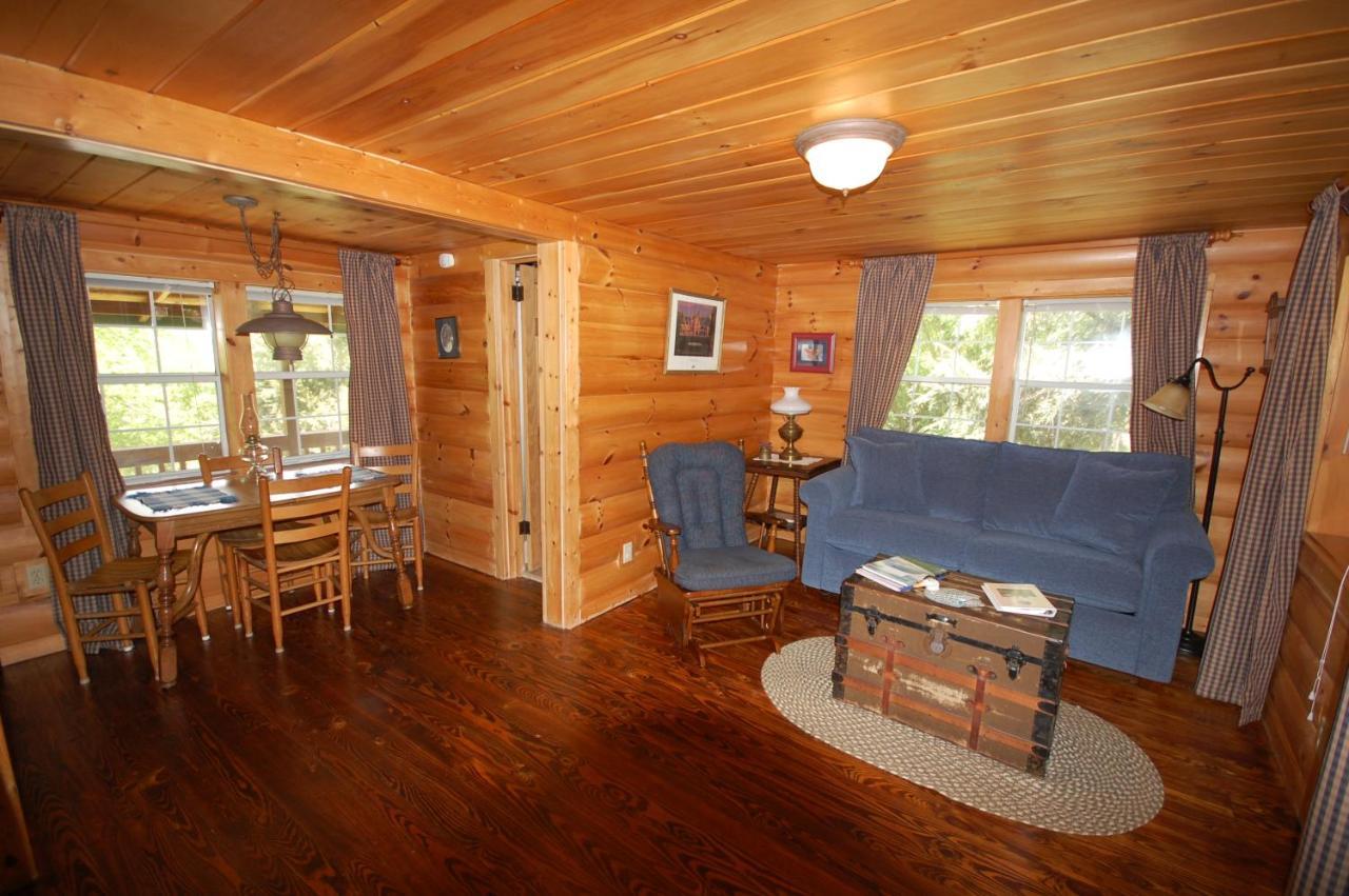 Mountain Springs Cabins Candler المظهر الخارجي الصورة