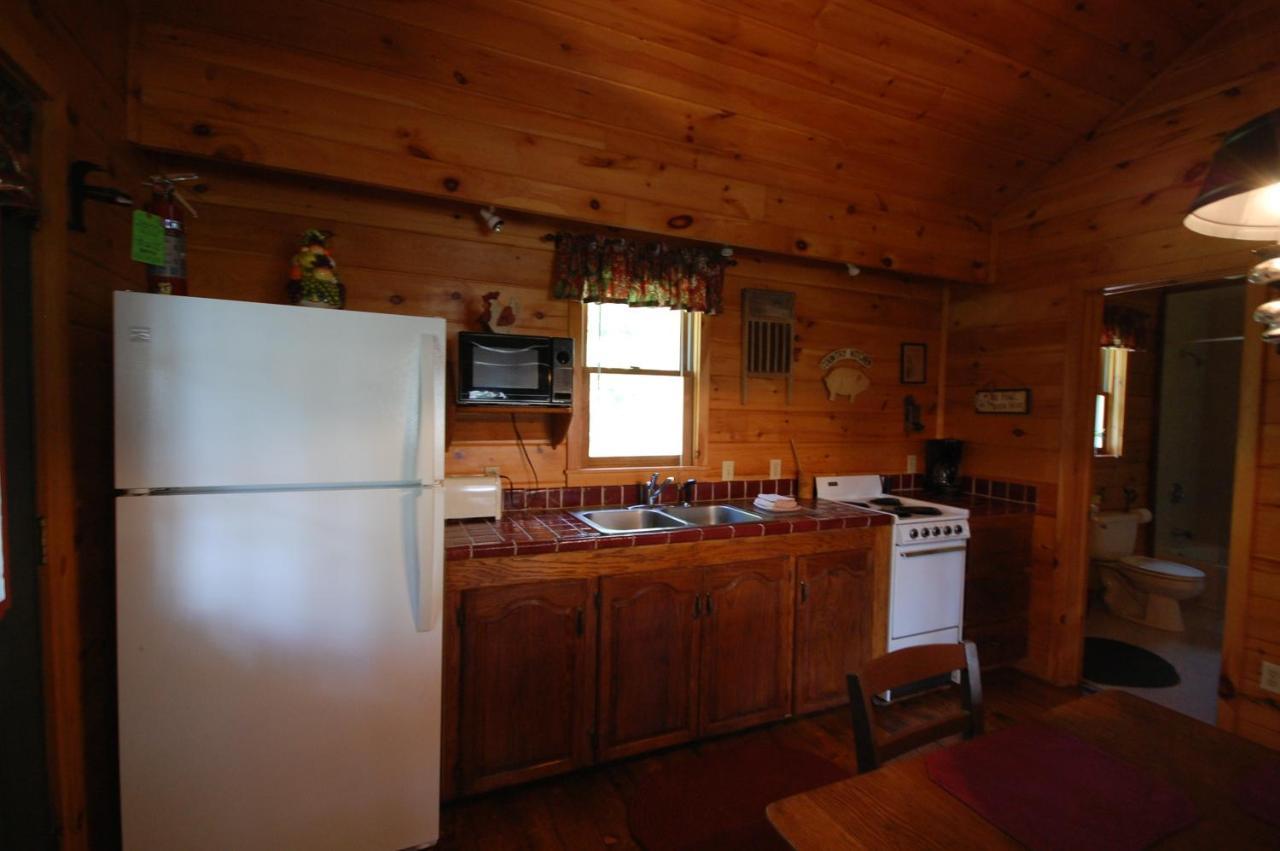 Mountain Springs Cabins Candler المظهر الخارجي الصورة