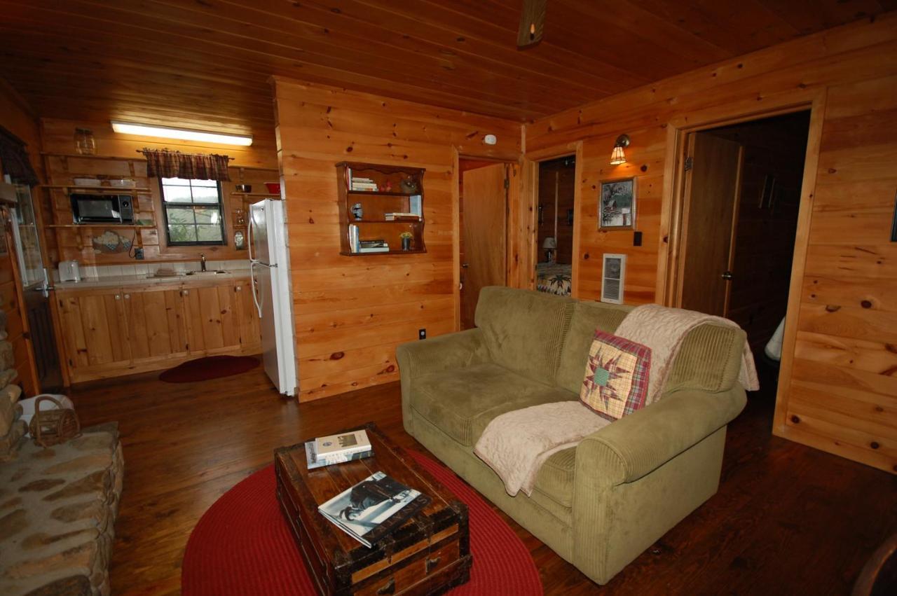 Mountain Springs Cabins Candler المظهر الخارجي الصورة
