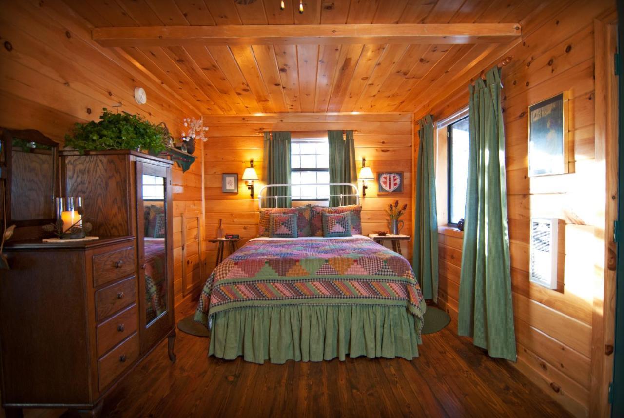 Mountain Springs Cabins Candler المظهر الخارجي الصورة