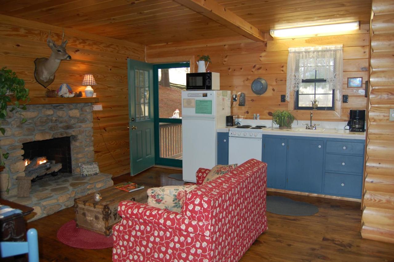 Mountain Springs Cabins Candler المظهر الخارجي الصورة