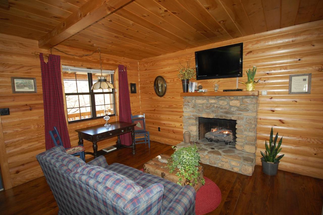 Mountain Springs Cabins Candler المظهر الخارجي الصورة