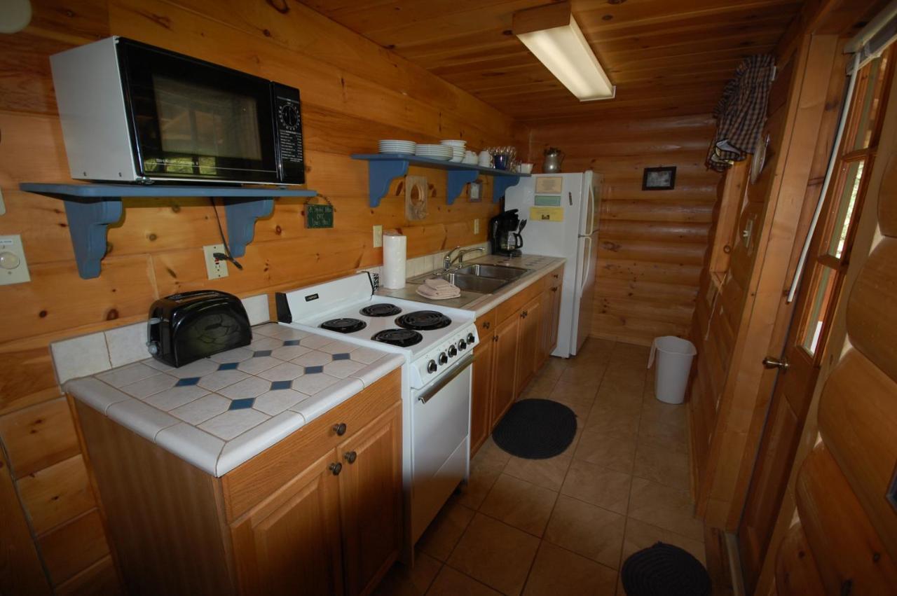 Mountain Springs Cabins Candler المظهر الخارجي الصورة