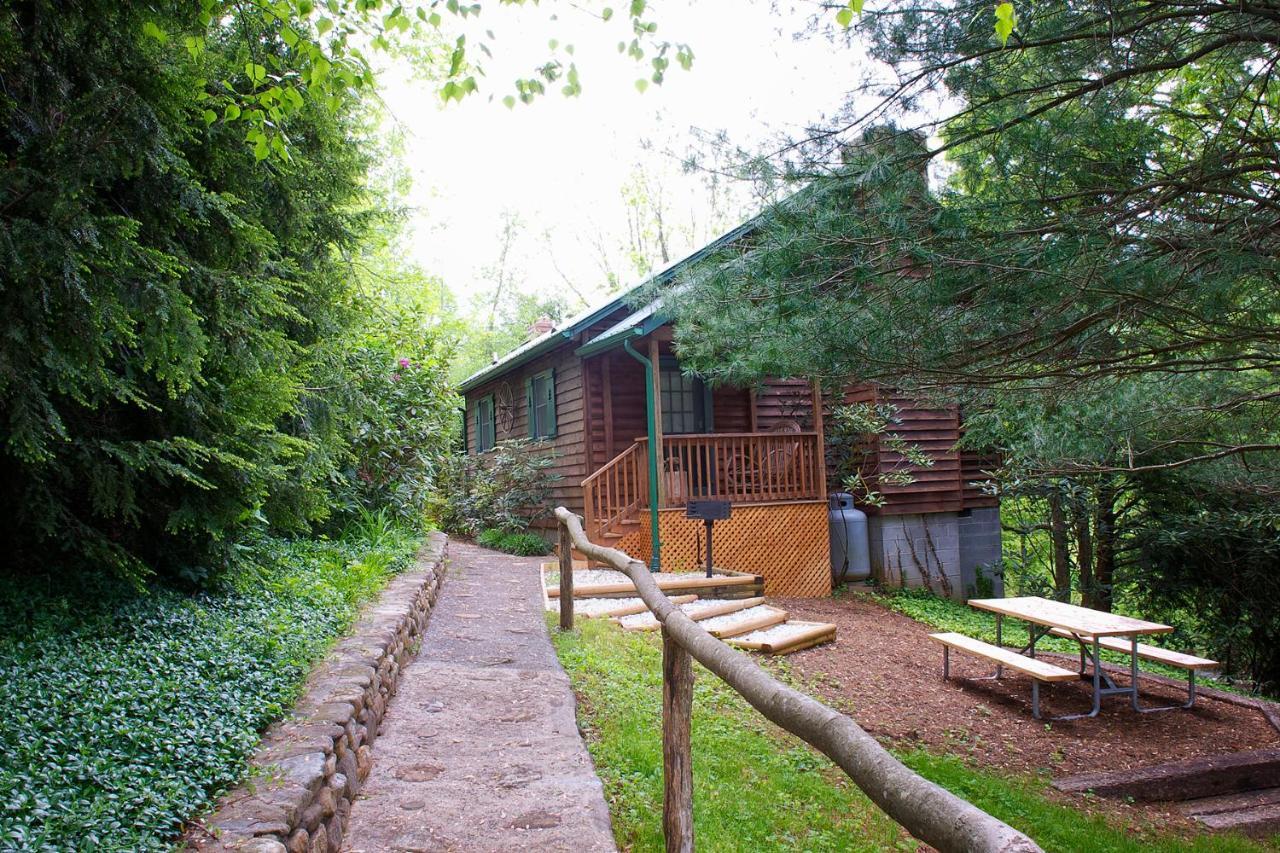 Mountain Springs Cabins Candler المظهر الخارجي الصورة