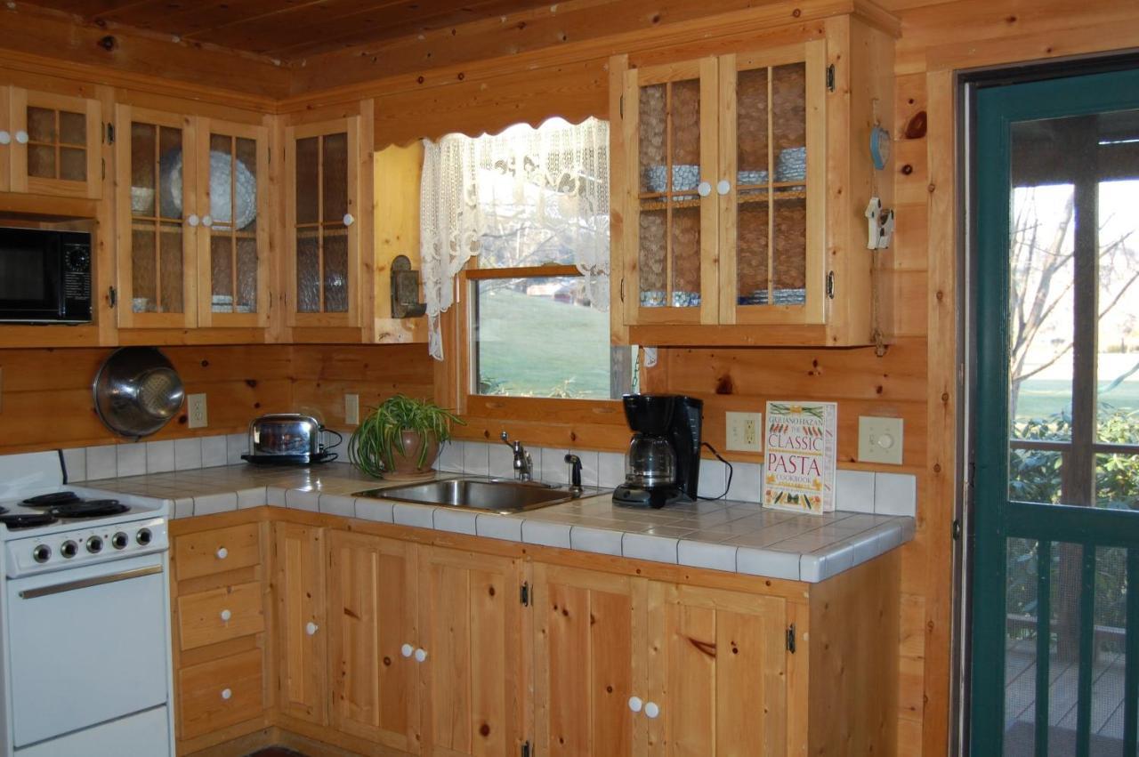 Mountain Springs Cabins Candler المظهر الخارجي الصورة