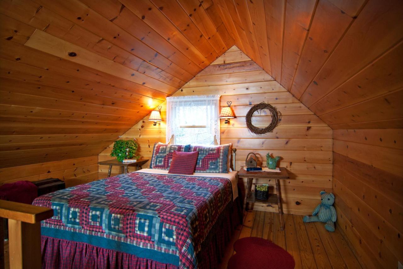 Mountain Springs Cabins Candler المظهر الخارجي الصورة