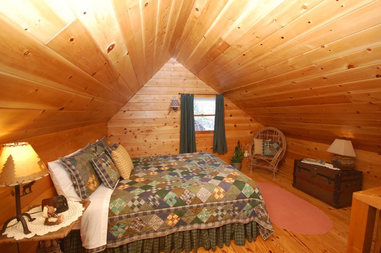 Mountain Springs Cabins Candler المظهر الخارجي الصورة