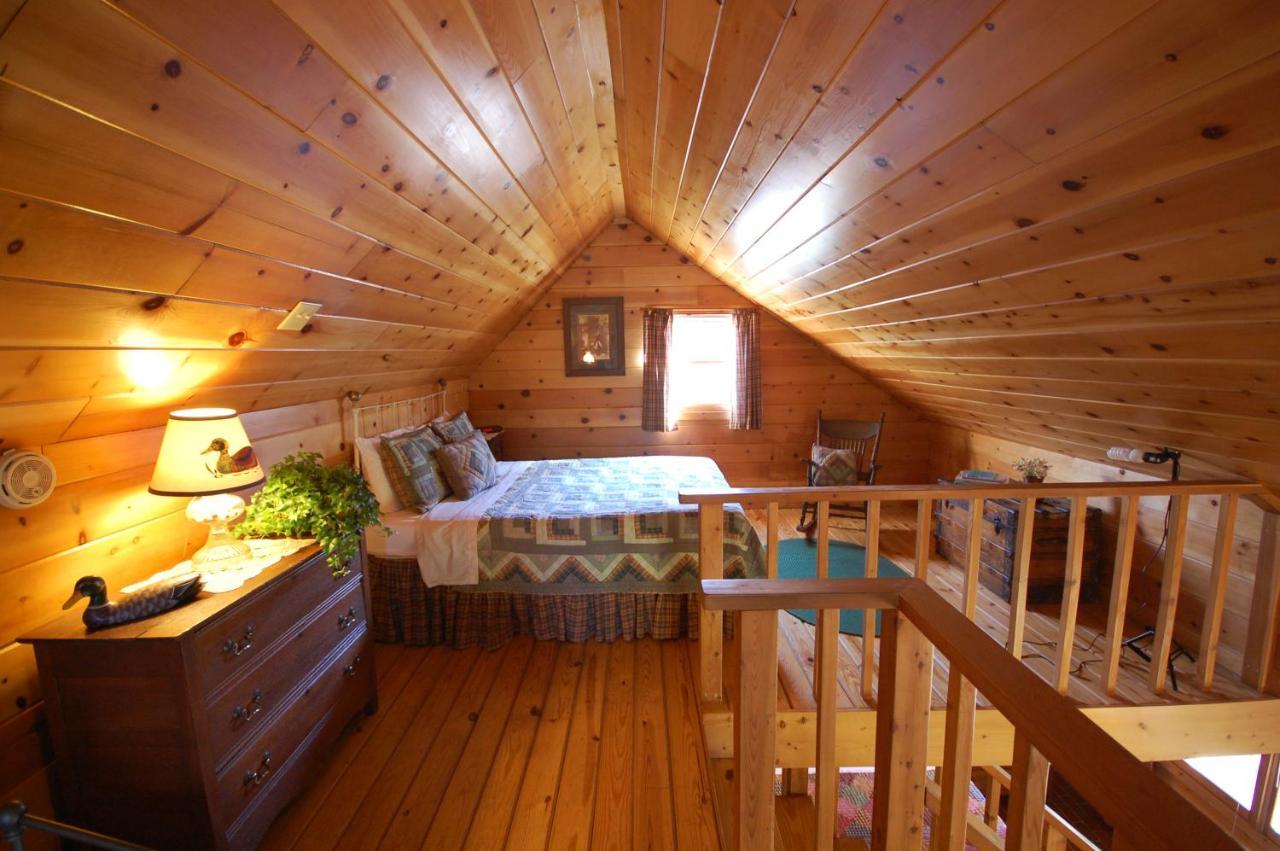 Mountain Springs Cabins Candler المظهر الخارجي الصورة