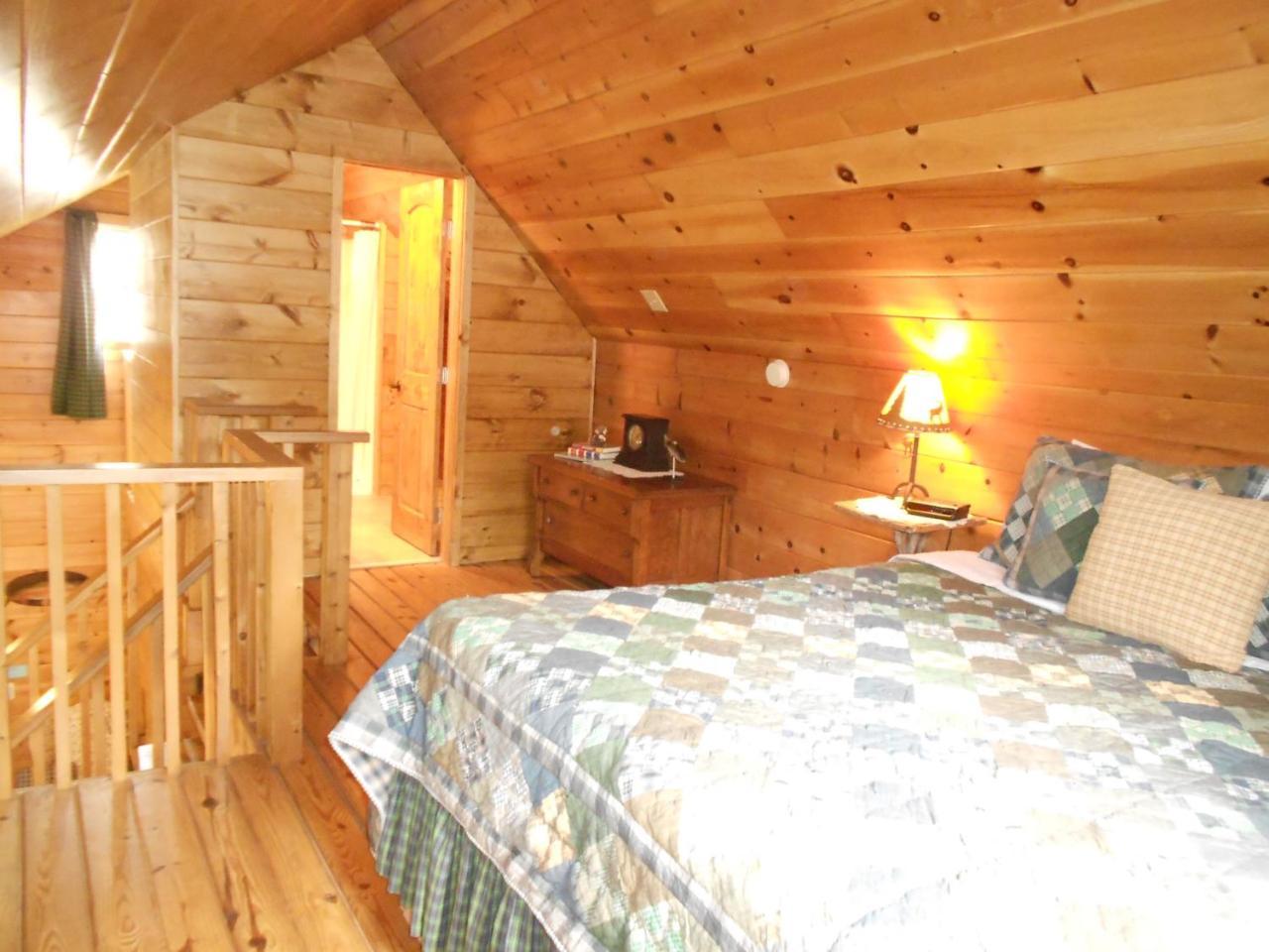Mountain Springs Cabins Candler المظهر الخارجي الصورة
