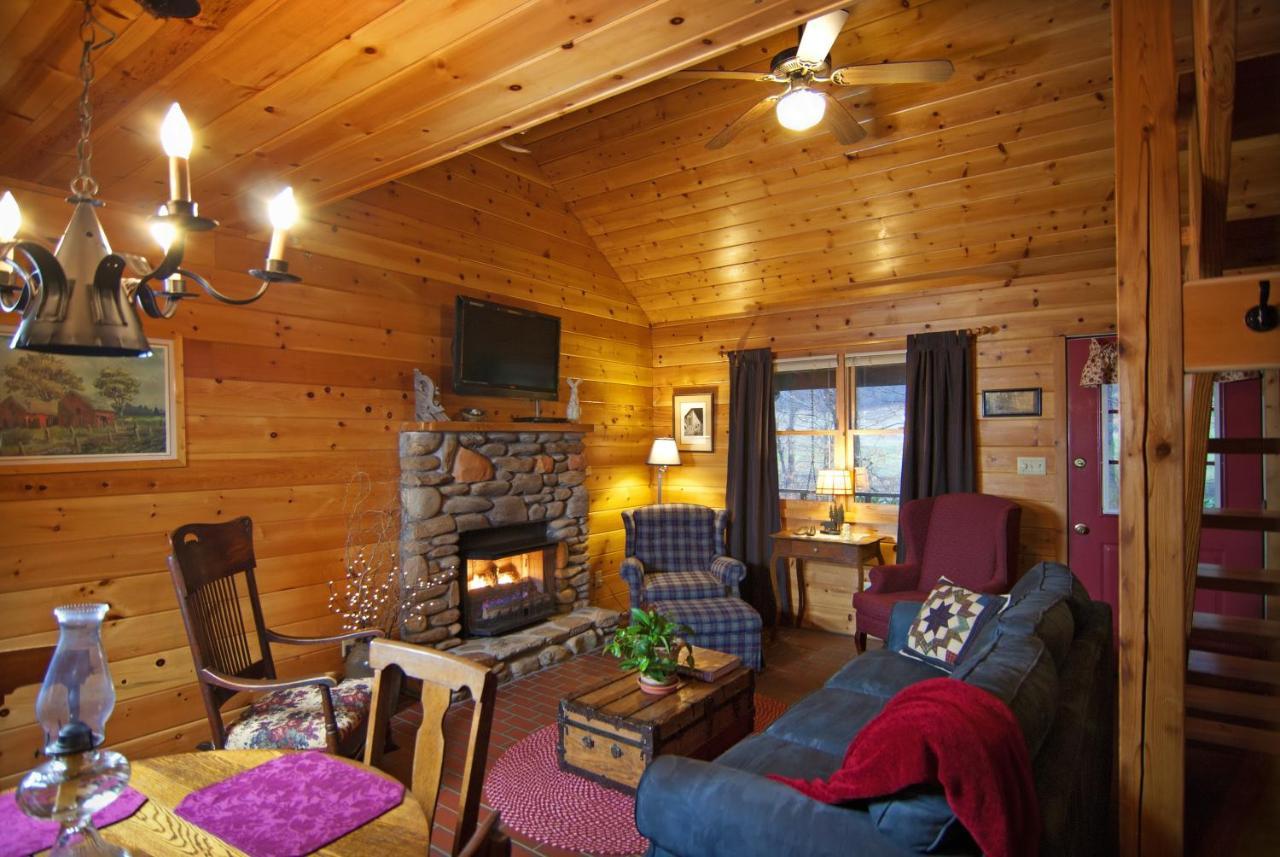 Mountain Springs Cabins Candler المظهر الخارجي الصورة