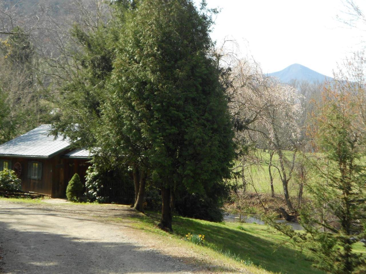 Mountain Springs Cabins Candler المظهر الخارجي الصورة