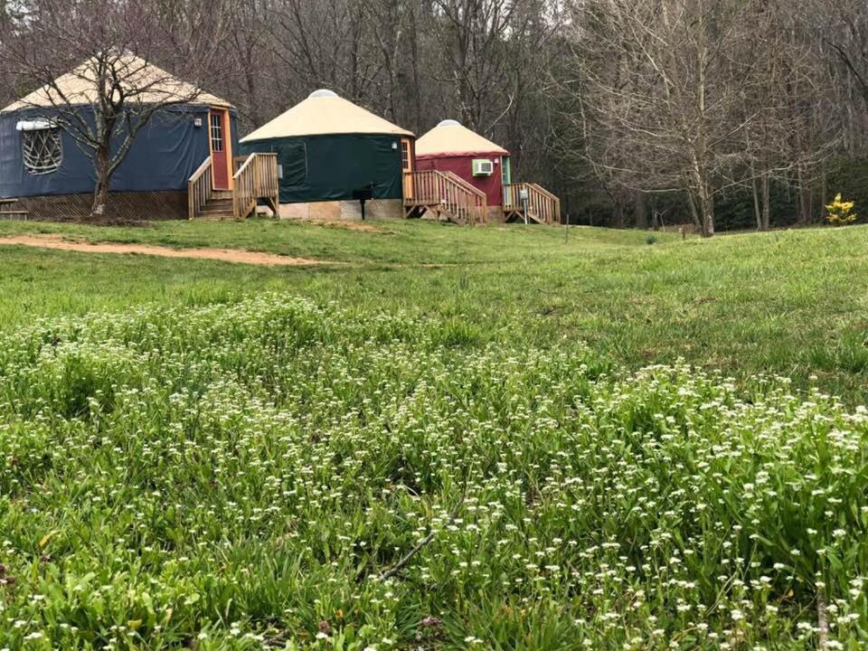Mountain Springs Cabins Candler المظهر الخارجي الصورة
