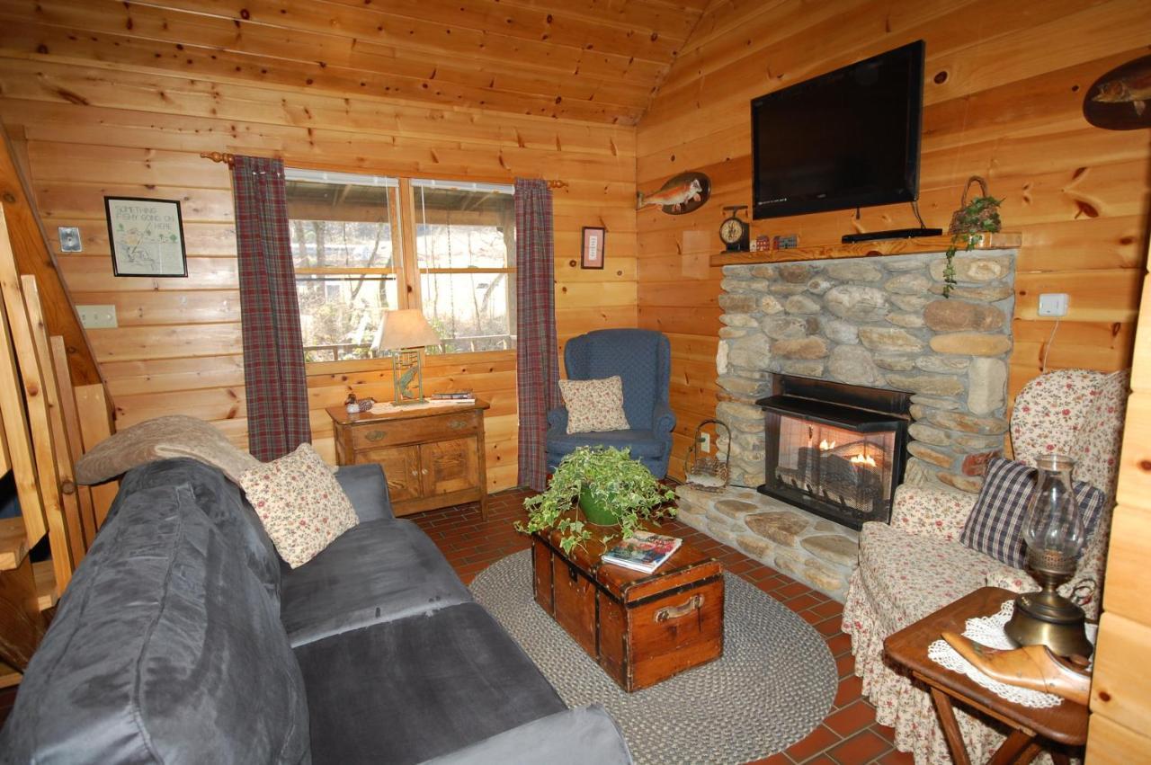 Mountain Springs Cabins Candler المظهر الخارجي الصورة